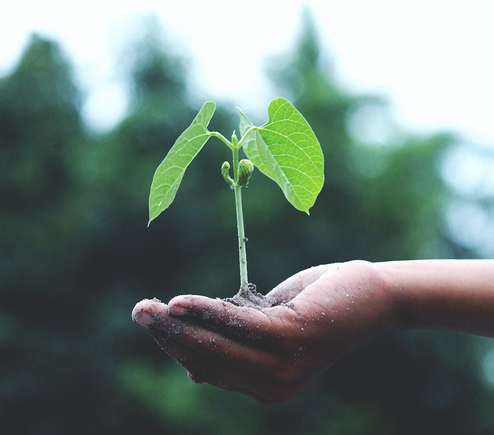 ���쿵������������ʱ����������Ƴ�������ù����