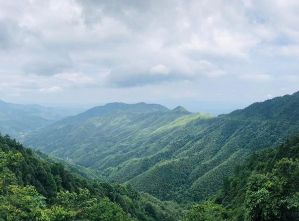 �����˶�